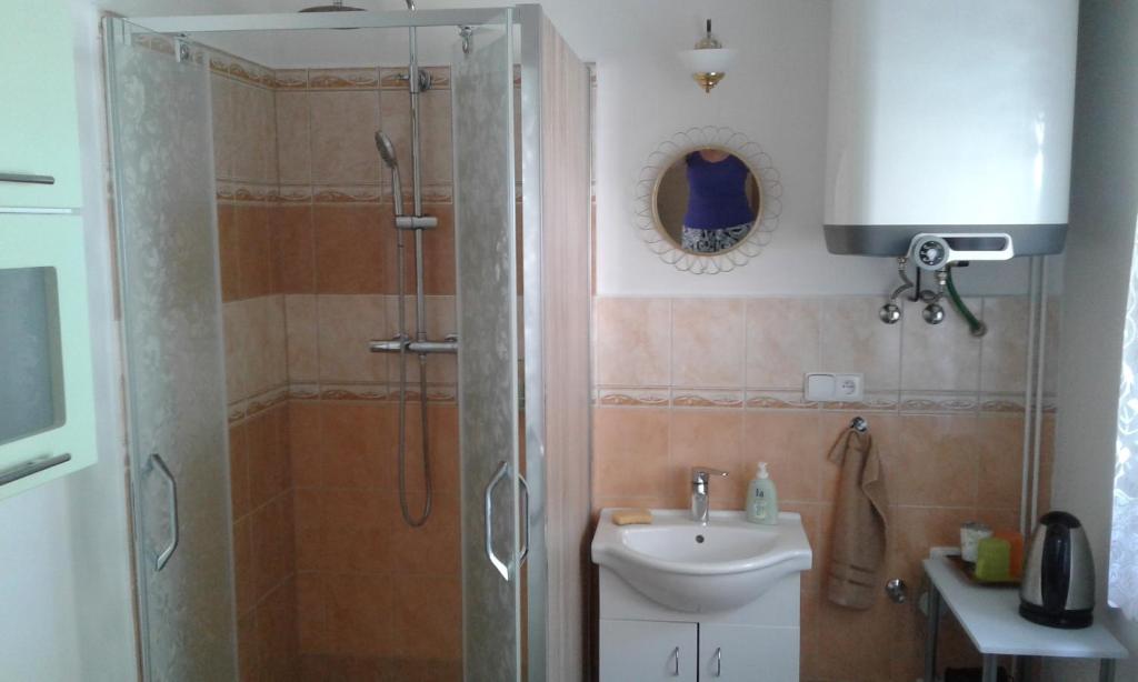 Apartmán pro 2-3 dospělé osoby room 5